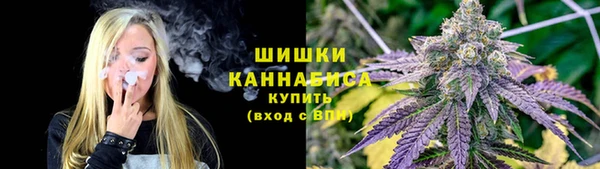 мескалин Богданович