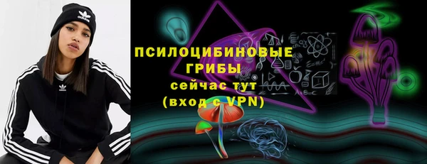винт Богородицк