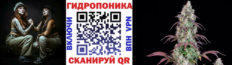 маркетплейс какой сайт  Волчанск  МАРИХУАНА AK-47  hydra tor 